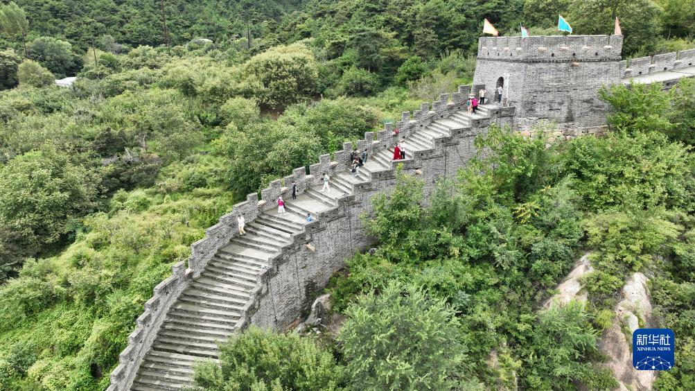 新巴黎人网站